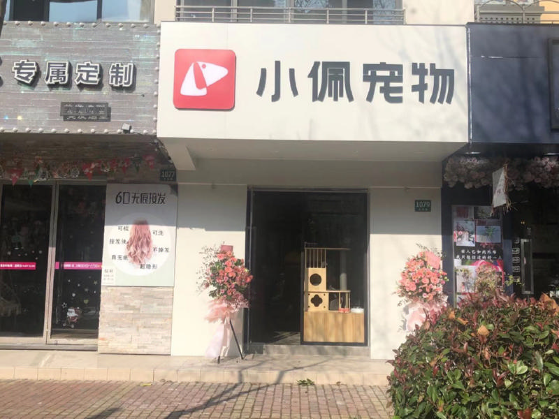 疫情下的宠物经济：宠物店的危与机