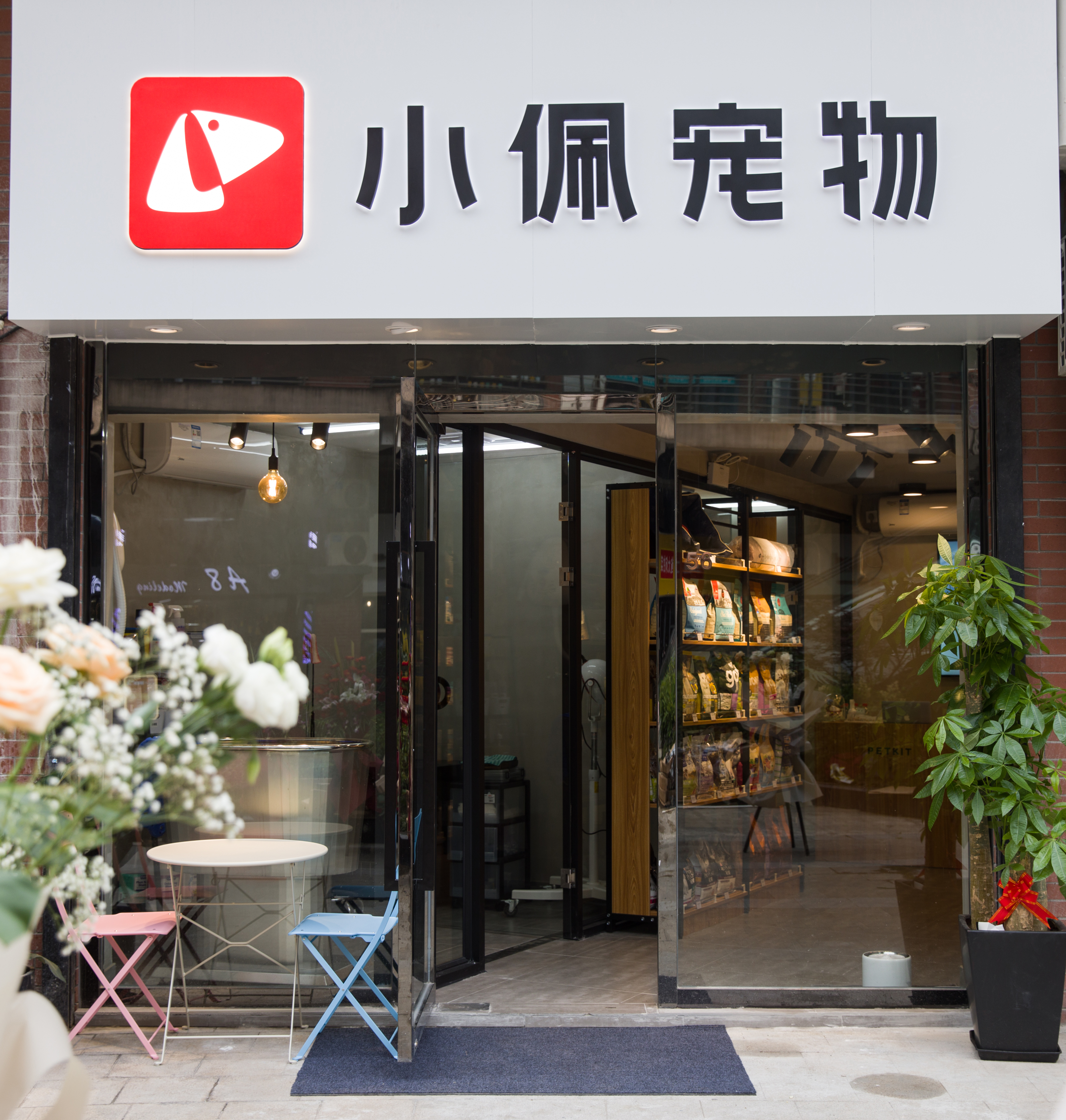 投资宠物店失败了？原因是什么？