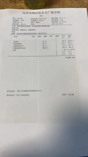 小佩&丝诺依品牌方联合声明