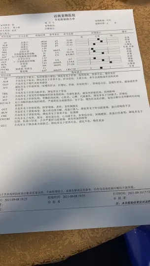 小佩&丝诺依品牌方联合声明