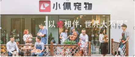 什么才是宠物实体店的杀手锏？