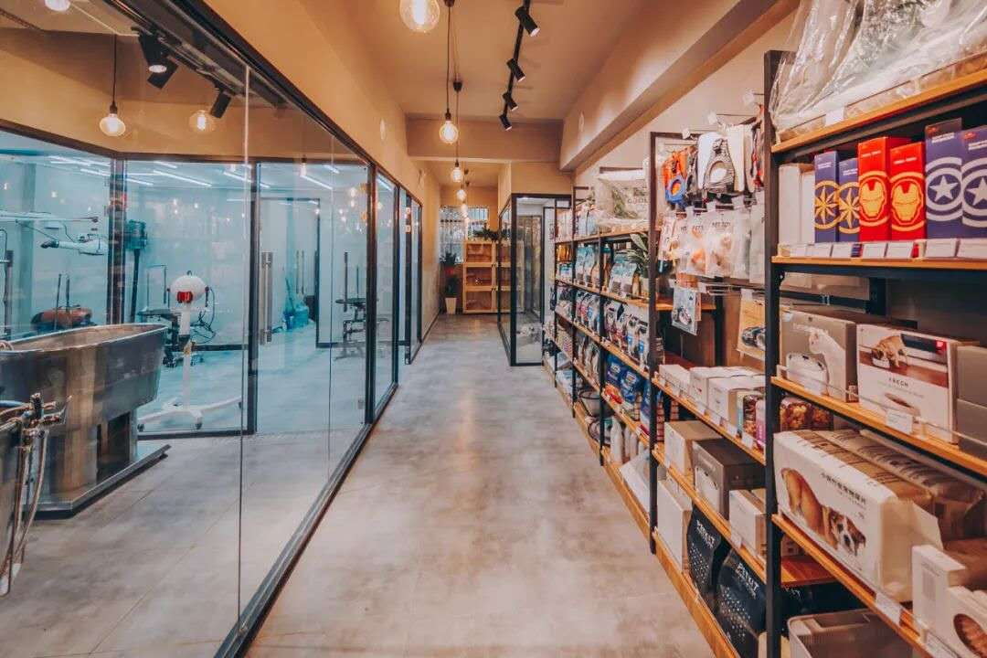 怎么加盟宠物店