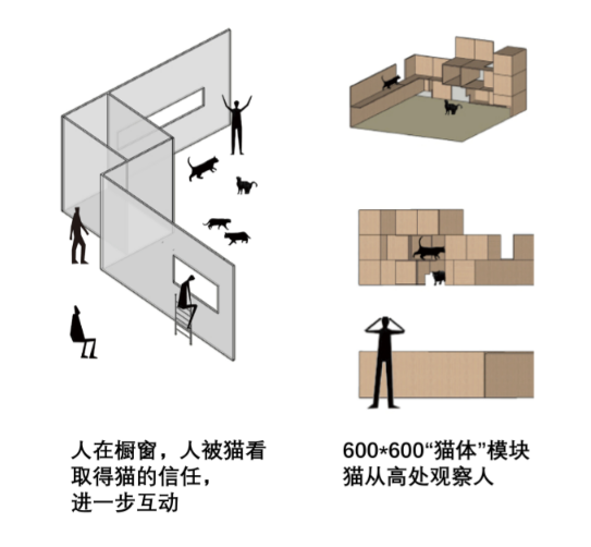 作品赏析｜“与宠物同行”主题室内设计赛——猫街（二等奖）